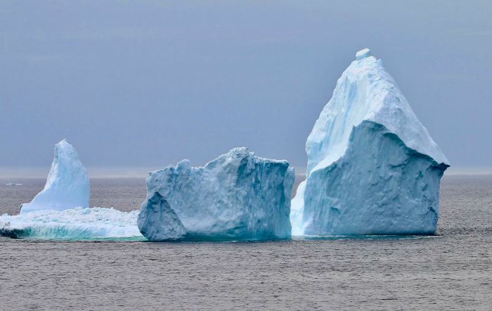 Iceberg:  $100 Paper